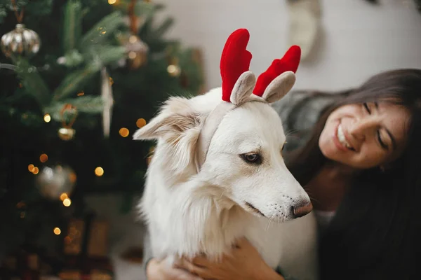 Vrolijk Kerstfeest Leuke Hond Rendier Gewei Spelen Met Eigenaar Bij — Stockfoto