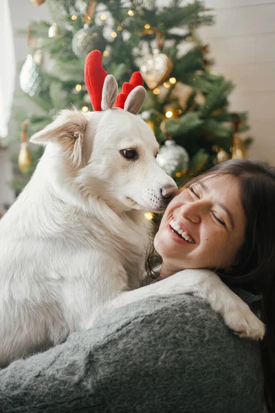 メリークリスマス スタイリッシュなクリスマスツリーで所有者と遊んでトナカイの釣り人でかわいい犬 ペットと冬の休日 幸せな女性抱擁可愛いです面白いですホワイトデンマーク語Spitzでお祝い部屋 — ストック写真