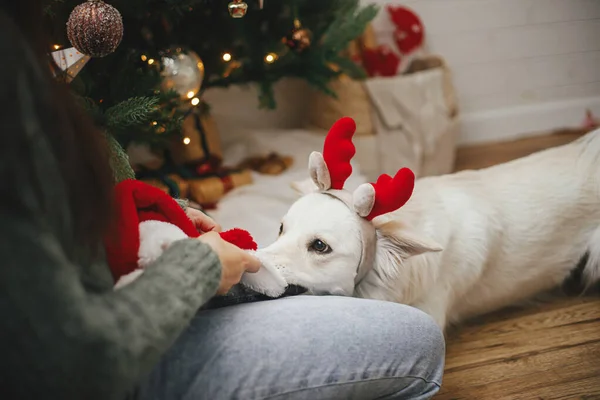 Счастливая Женщина Играет Симпатичной Собакой Шляпе Санта Рядом Стильной Елкой — стоковое фото
