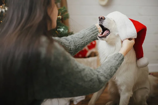Gelukkige Vrouw Zet Kerstman Hoed Schattige Hond Buurt Van Stijlvolle — Stockfoto