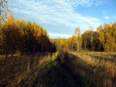 Sonbahar çayırı, kenarlarında sonbahar ormanı olan açık bulutlu mavi gökyüzünün arka planına karşı.