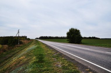 Terk edilmiş bir yol boyunca panorama. Tarlaların arasından düz yol. Gökyüzü yağmurdan önce.