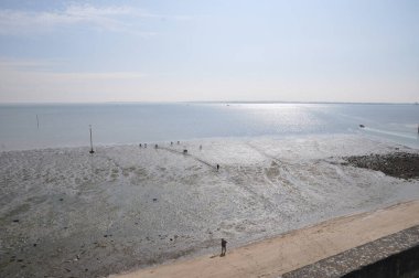 Oleron adasında gelgit var. İnsanlar denizin ıslak kumlarında kabuklu deniz ürünleri toplarlar. 13 Eylül 2018, Oleron, Fransa.