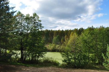 Orman gölünün panoramik manzarası. Göletteki su yeşil yosunlarla kaplıydı. Arkaplan.