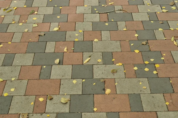 Fundo Textura Folhas Amarelas Outono Nas Pedras Pavimentação Praça Cidade — Fotografia de Stock