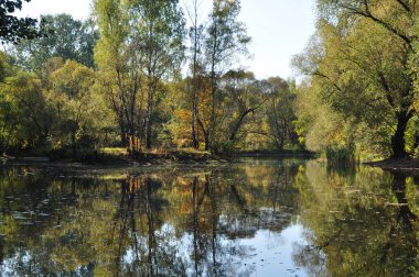 Şehir göletinin manzarası. Gölet suyunun yüzeyindeki ağaçların yansıması. Sonbahar resmi.