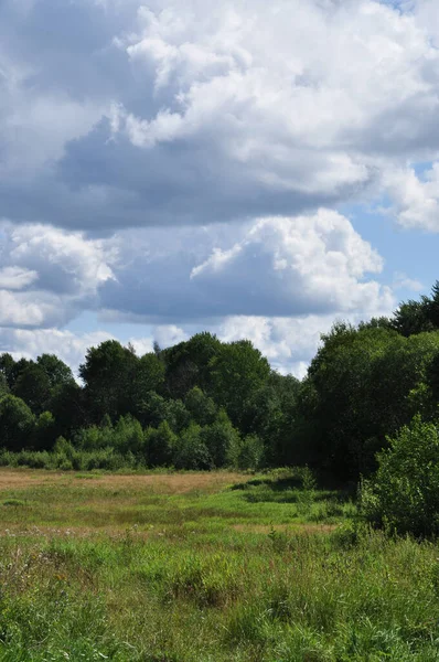 Landschap Uitzicht Een Open Plek Met Groen Gras Bomen Wolken — Stockfoto