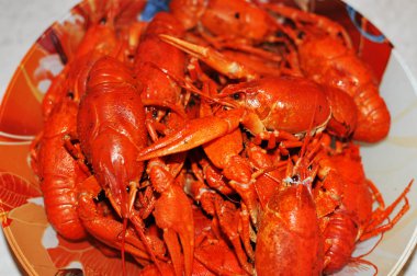 Kaynamış kerevitli tabak. Yakın plan, büyük bir tabakta kırmızı haşlanmış kerevit..