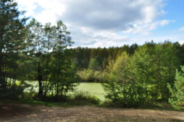 Odaklanamayan ve bulanık arkaplan. Orman gölünün panoramik manzarası. Göl suyu yeşil alglerle kaplıdır..