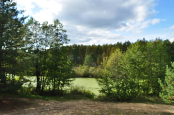 Oskärpa Och Suddig Bakgrund Panoramautsikt Över Skogssjön Sjövattnet Täckt Med — Stockfoto
