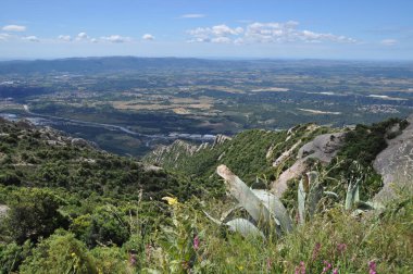 Dağdan vadiye kadar panoramik manzara. Dağ yamacında büyük bir kaktüs yaprağı..
