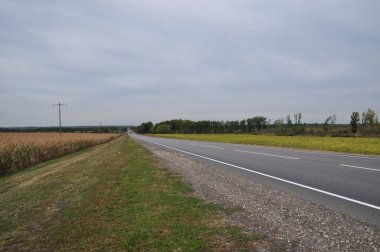 Terk edilmiş bir otoyol boyunca panorama. Otomotiv ve yol kenarı alanları.