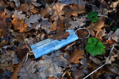 Yerde lastik bantlı bandaj var. Yerdeki sargı bezi kuru meşe yapraklarının arasında..