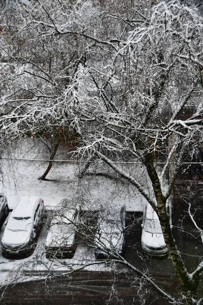 窓から雪の通りへの眺め 雪の中で車や木の枝 市内の冬 — ストック写真