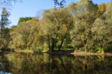 Odaklanamayan, bulanık arkaplan. Göletin kıyısındaki odağını kaybetmiş ağaçların manzarası. Bokeh.