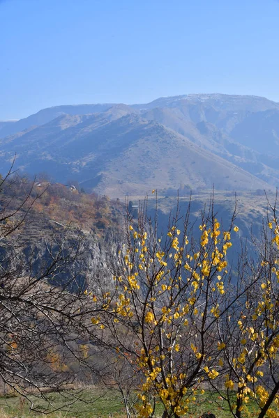 Panoramatický Výhled Hory Žluté Listí Stromech Pozadí Hor Slunečný Den — Stock fotografie