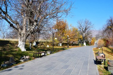 Parkın sonbahar manzarası. Yapraksız ağaçlar, ara sokağın kenarındaki banklar..