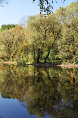 Sonbahar panoraması. Ağaçların manzarası ve gölün sularındaki yansımaları. Parkta güneşli bir gün.