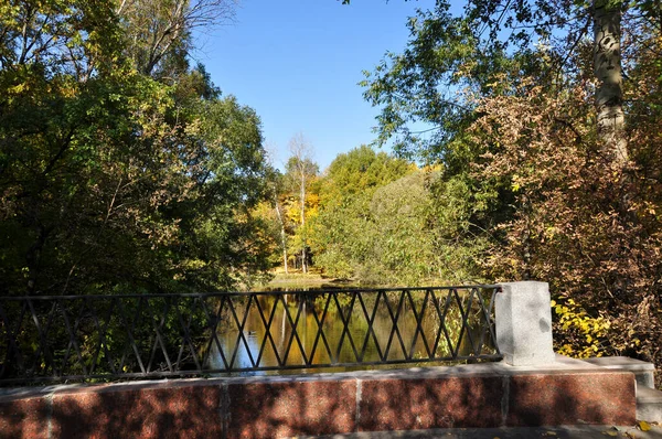 俯瞰旧桥和秋天池塘的金属栏杆 — 图库照片