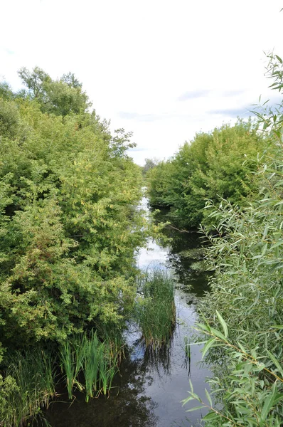 Panoramic View River Its Banks Overgrown Bushes Trees — Stockfoto