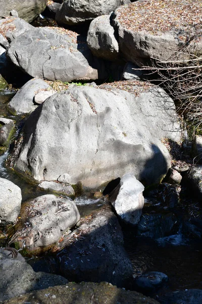 Blick Auf Einen Gebirgsbach Und Große Steine Der Strom Fließt — Stockfoto