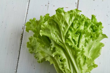 Beyaz arkaplan üzerinde bir marul başı kopyalama alanı