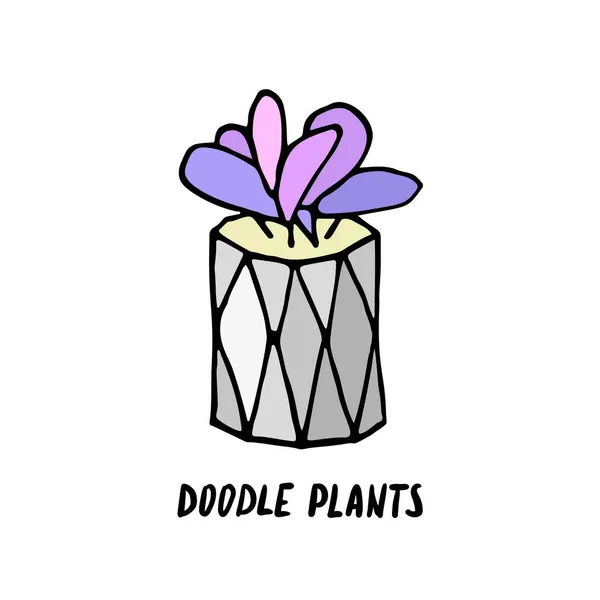 Sukkulenter Kaktus Grauen Topf Handgezeichnetes Doodle Sukkulenten Symbol Logo Vereinzelte — Stockvektor