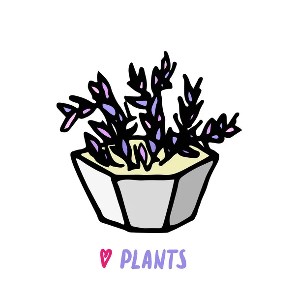 Succulent Cactus Pot Gris Dessiné Main Succulents Doodle Icône Logo — Image vectorielle