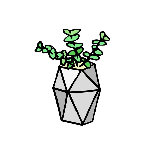 Sukkulente Pflanze Grauen Topf Handgezeichnetes Doodle Crassula Symbol Logo Vereinzelte — Stockvektor