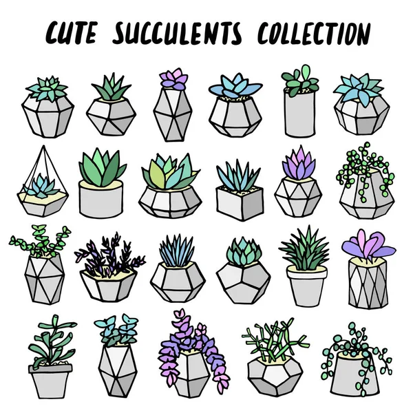 Pflanzen Töpfen Sammeln Sukkulenten Modernen Betonblumentopf Nettes Doodle Cartoon Zimmerpflanzen — Stockvektor