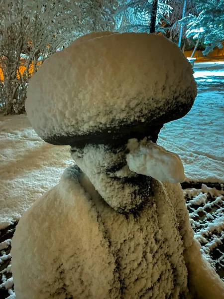 Rivière Porsuk Gelée Eskisehir Parc Kanlikavak Nuit Scènes Neige — Photo