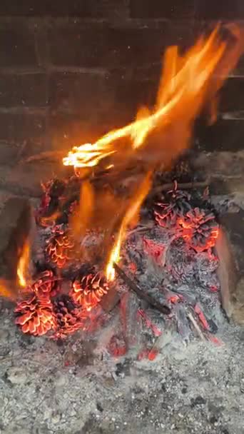 Chimenea Con Imágenes Orientadas Verticalmente — Vídeos de Stock