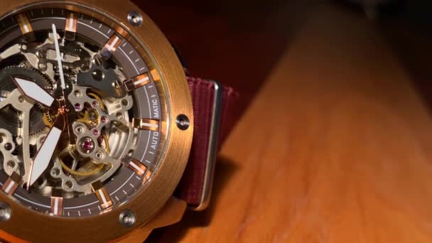 Two Automatic Watches Ticking Close View — Stock Video