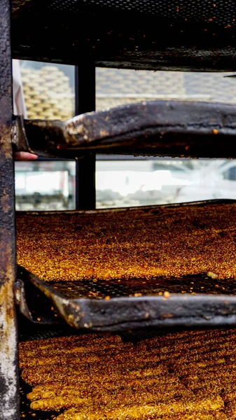 Frissen Főzött Bagel Tészta Ipari Tálcán — Stock Fotó