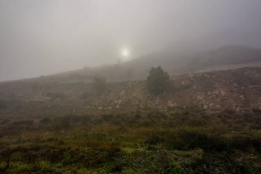 Camping in the nature waking up into a misty sunrise