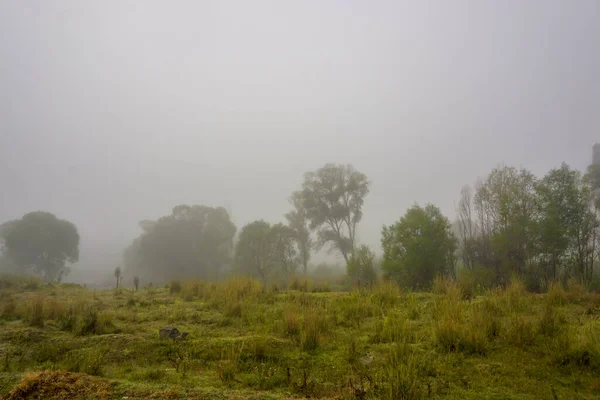 Camping Nature Waking Misty Sunrise — Foto de Stock