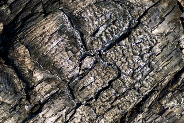 Burnt Wood Texture Template Background — Stock Fotó