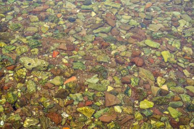 Sabah desen şablonunda berrak deniz suyu