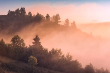 Altın sabah sisi Karpat dağ vadisini kapladı. Sabah manzarası, güzellik puslu görüntüsü, fantastik manzara. Karpatlar, Ukrayna.