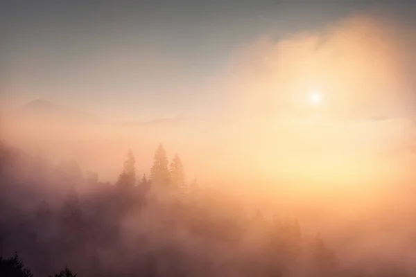 Majestic Mountain Valley Covered Fog Light Golden Sunrise Early Morning — Stock Photo, Image