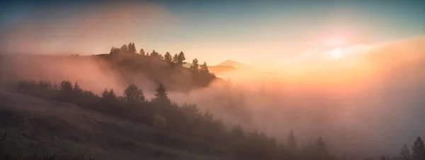 山谷的全景被雾气笼罩在金色的日出的光芒中 清晨的场景 朦胧的美感 奇异的风景 喀尔巴阡山 乌克兰 — 图库照片