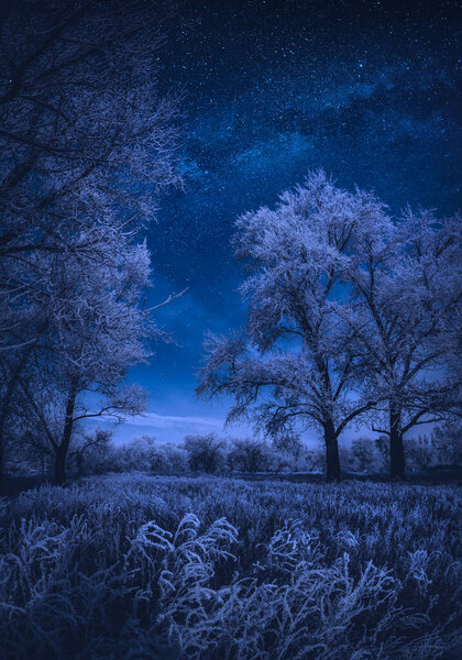 Forest in a hoar frost with majestic Milky Way in a starry night sky. Winter landscape.