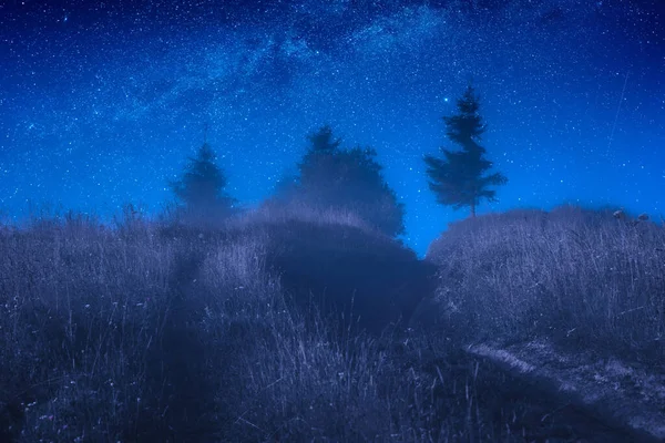 群山上的树木 在星空下的浓雾中 美丽的田园风光 喀尔巴阡山脉 乌克兰 — 图库照片