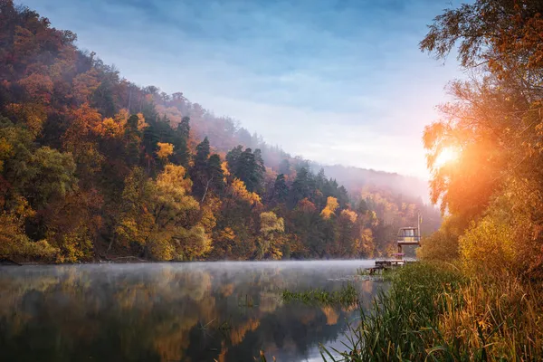 日の出の光の中で霧の川の上の山の丘の上の秋の森 — ストック写真