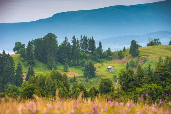 지대의 언덕에 나무집 — 스톡 사진