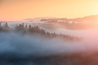Bir vadide güneşin doğuşunun görkemli bahar sahnesi. Resimli bir sabah. Konum: Carpathian, Ukrayna, Avrupa.