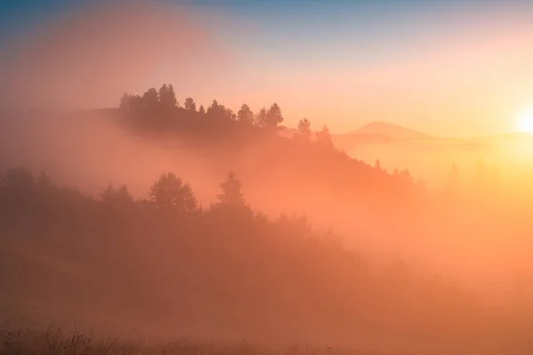 早朝のシーン 美しさ春霧のイメージ 黄金の日の出の光の中で霧で覆われた渓谷の魅力的な景色 素晴らしい風景 カルパティア ウクライナ — ストック写真
