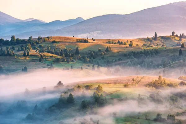 Sabah Işığında Harika Bir Kır Manzarası Yer Karpat Dağları Ukrayna — Stok fotoğraf