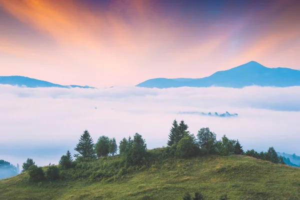 View Alpine Valley Covered Fog Light Sunrise Early Morning Scene — Stock Photo, Image