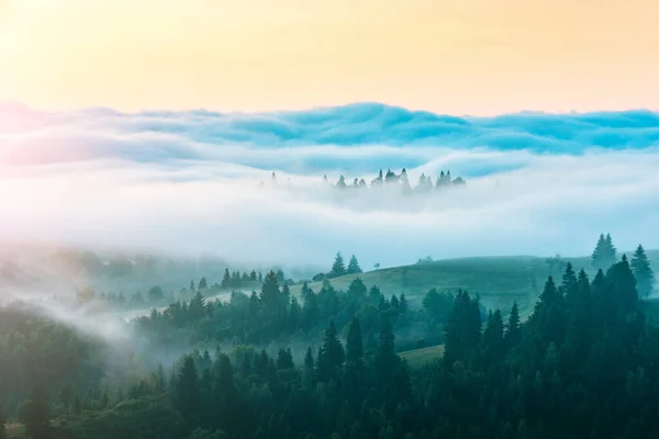 Früh Morgens Alpinen Gebirgstal Schöne Idyllische Landschaft Karpaten Freie Ukraine — Stockfoto